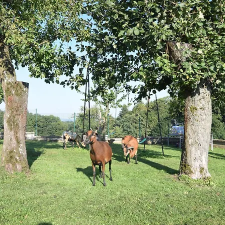 Bauernhof Erleben Stilvolle 120 M Im Mostviertel Apartment *