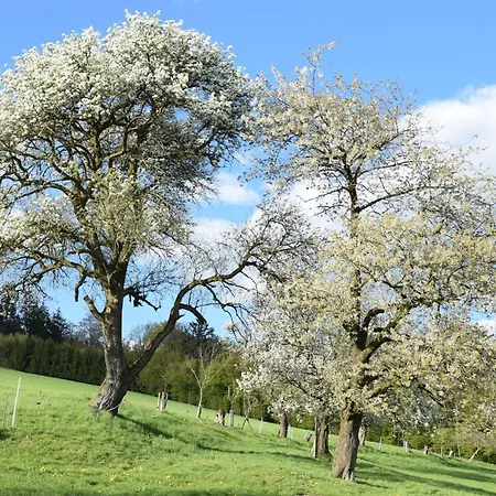 Bauernhof Erleben Stilvolle 120 M Im Mostviertel Apartment *