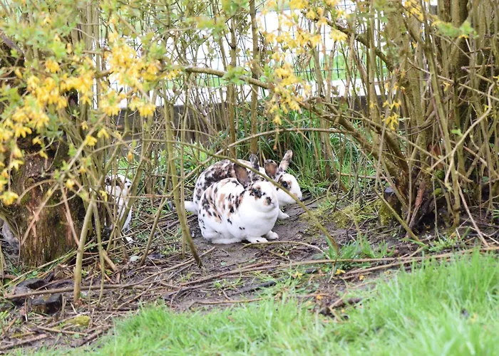 Bauernhof Erleben Stilvolle 120 M Im Mostviertel Apartamento
