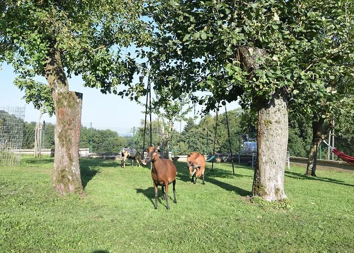 Bauernhof Erleben Stilvolle 120 M Im Mostviertel Apartment *