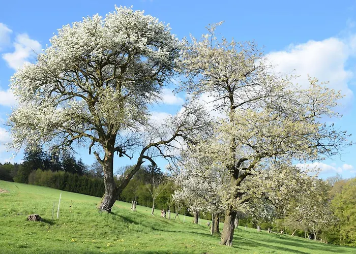 Bauernhof Erleben Stilvolle 120 M Im Mostviertel Apartment *