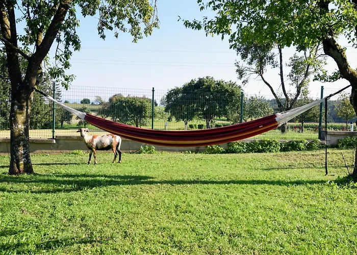 Apartamento Bauernhof Erleben Stilvolle 120 M Im Mostviertel